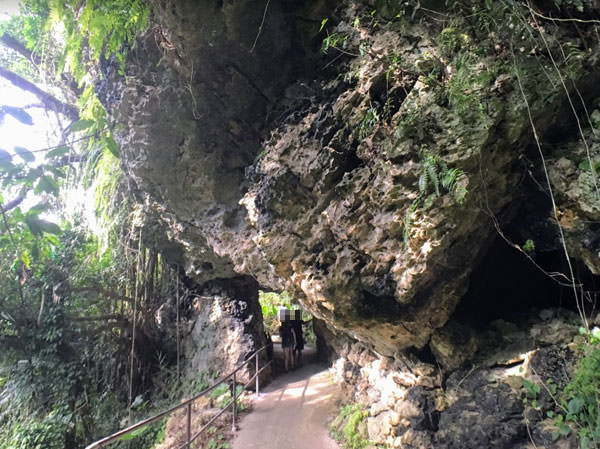 ガンガラーの谷の大きな岩のトンネル
